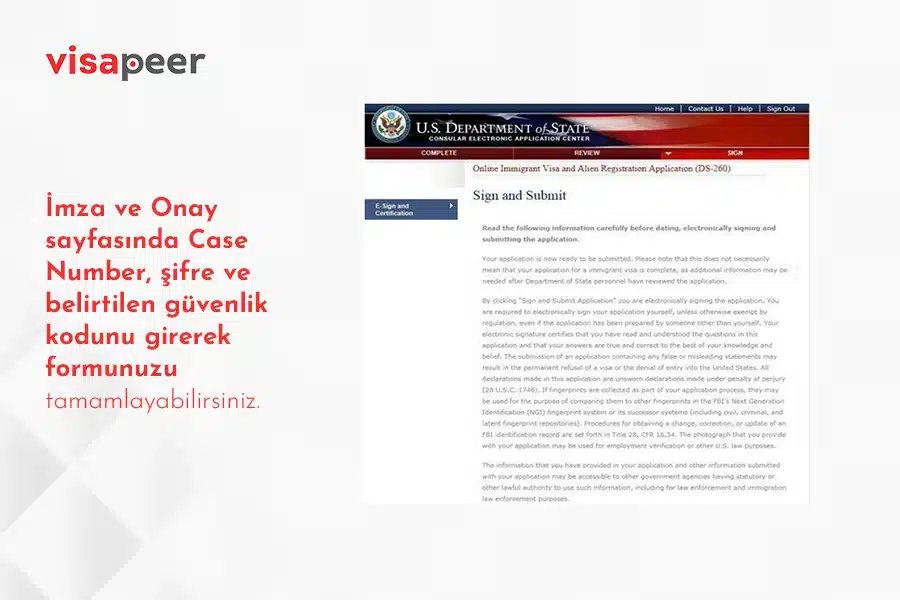 ds 260 Green Card formu onay sayfası