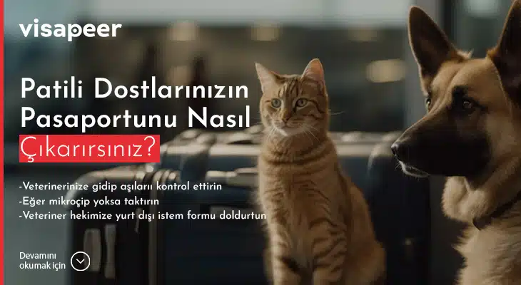 Patili Dostlarınızın Pasaportunu Nasıl Çıkarırsınız_